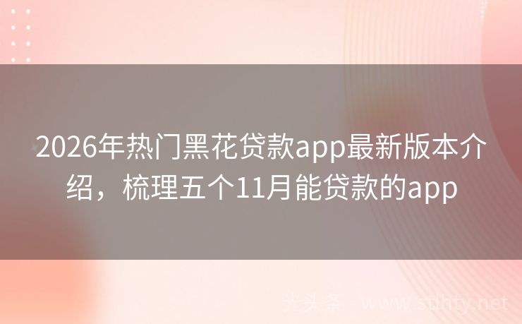 2026年热门黑花贷款app最新版本介绍，梳理五个11月能贷款的app