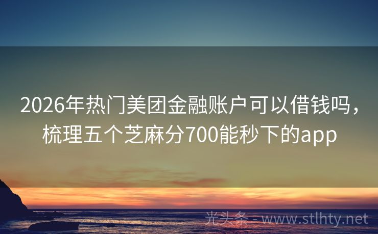 2026年热门美团金融账户可以借钱吗，梳理五个芝麻分700能秒下的app