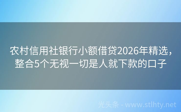 农村信用社银行小额借贷2026年精选，整合5个无视一切是人就下款的口子