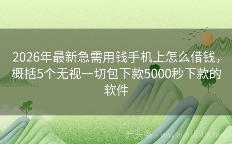 2026年最新急需用钱手机上怎么借钱，概括5个无视一切包下款5000秒下款的软件