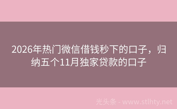 2026年热门微信借钱秒下的口子，归纳五个11月独家贷款的口子
