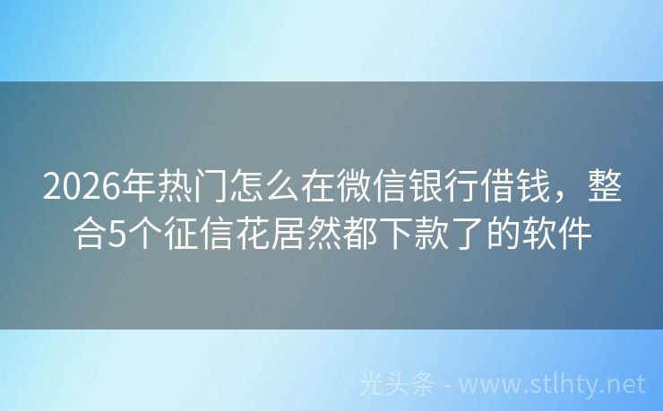 2026年热门怎么在微信银行借钱，整合5个征信花居然都下款了的软件