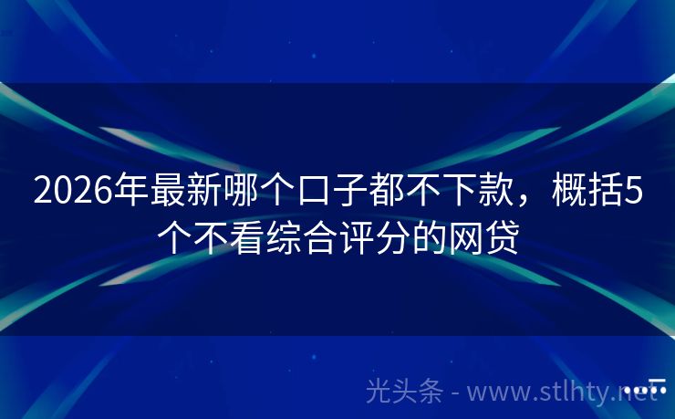 2026年最新哪个口子都不下款，概括5个不看综合评分的网贷