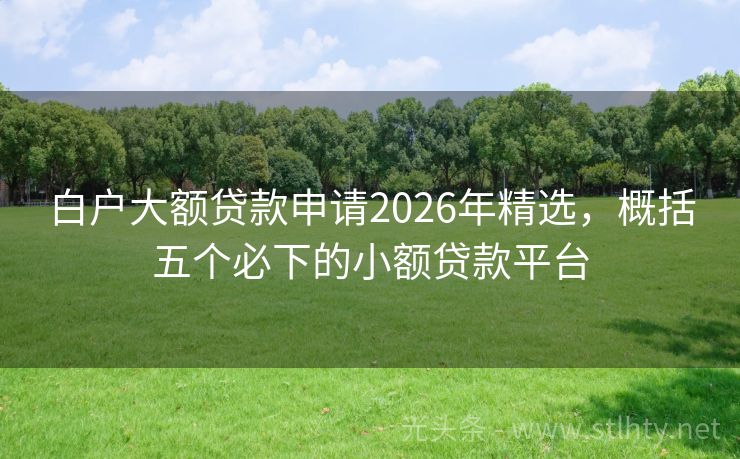 白户大额贷款申请2026年精选，概括五个必下的小额贷款平台