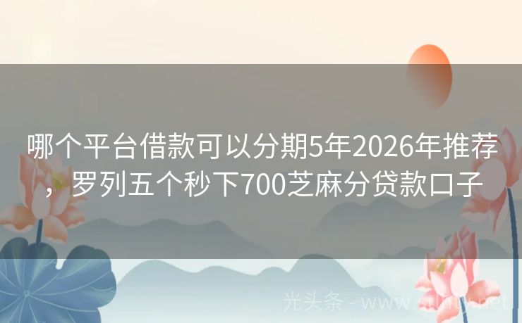 哪个平台借款可以分期5年2026年推荐，罗列五个秒下700芝麻分贷款口子