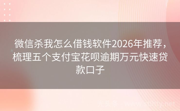 微信杀我怎么借钱软件2026年推荐，梳理五个支付宝花呗逾期万元快速贷款口子