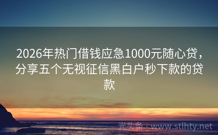 2026年热门借钱应急1000元随心贷，分享五个无视征信黑白户秒下款的贷款