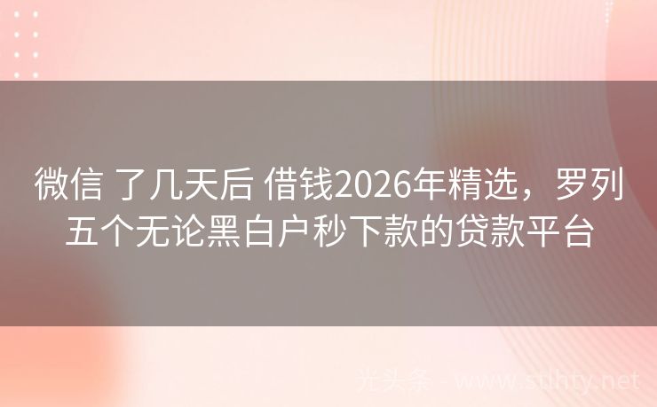 微信 了几天后 借钱2026年精选，罗列五个无论黑白户秒下款的贷款平台