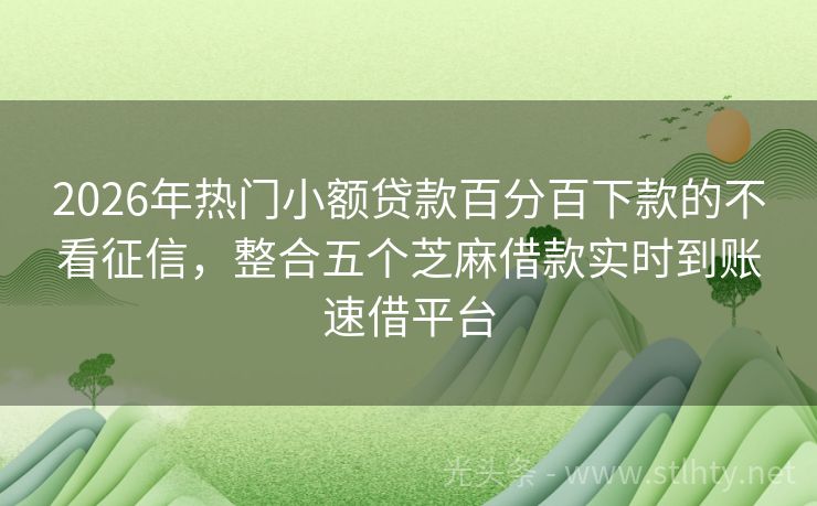 2026年热门小额贷款百分百下款的不看征信，整合五个芝麻借款实时到账速借平台