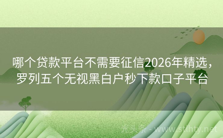 哪个贷款平台不需要征信2026年精选，罗列五个无视黑白户秒下款口子平台