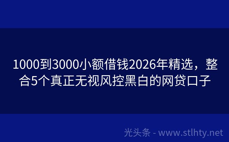 1000到3000小额借钱2026年精选，整合5个真正无视风控黑白的网贷口子