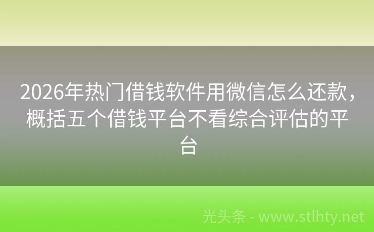 2026年热门借钱软件用微信怎么还款，概括五个借钱平台不看综合评估的平台