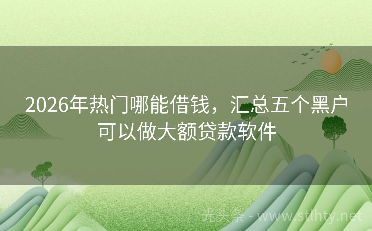 2026年热门哪能借钱，汇总五个黑户可以做大额贷款软件