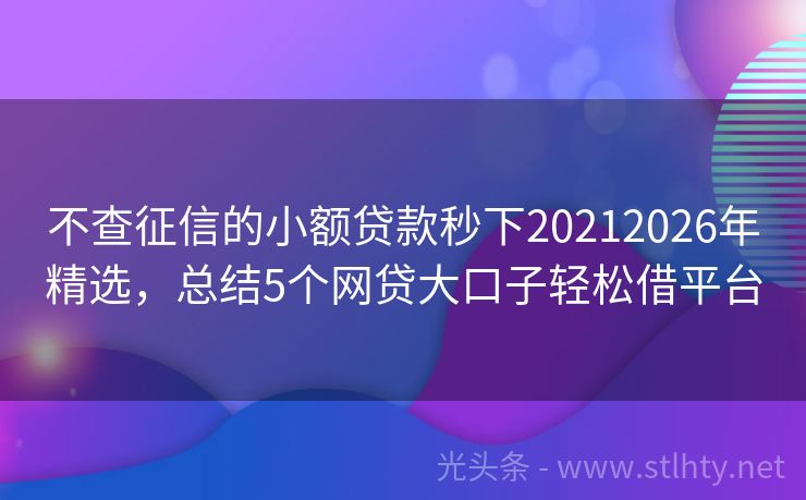 不查征信的小额贷款秒下20212026年精选，总结5个网贷大口子轻松借平台