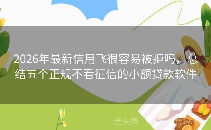 2026年最新信用飞很容易被拒吗，总结五个正规不看征信的小额贷款软件