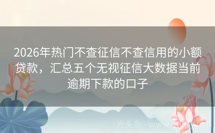 2026年热门不查征信不查信用的小额贷款，汇总五个无视征信大数据当前逾期下款的口子