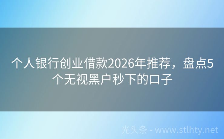 个人银行创业借款2026年推荐，盘点5个无视黑户秒下的口子