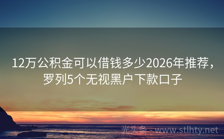 12万公积金可以借钱多少2026年推荐，罗列5个无视黑户下款口子