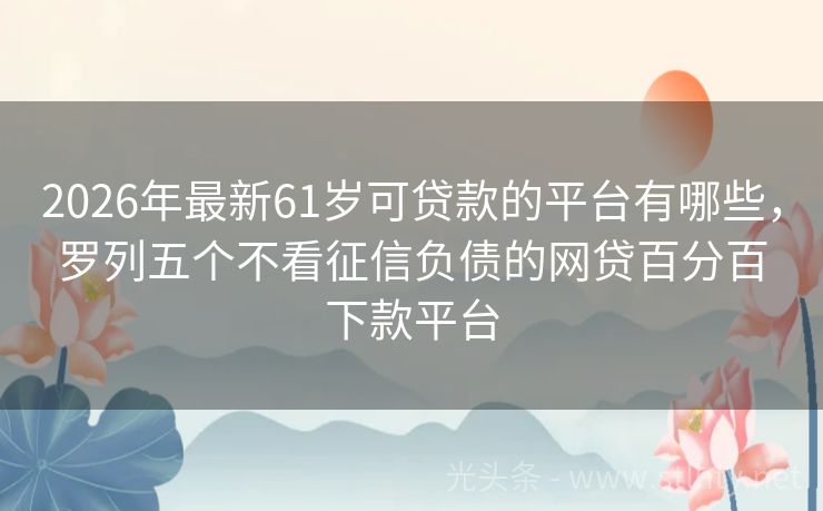 2026年最新61岁可贷款的平台有哪些，罗列五个不看征信负债的网贷百分百下款平台