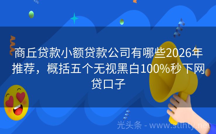 商丘贷款小额贷款公司有哪些2026年推荐，概括五个无视黑白100%秒下网贷口子