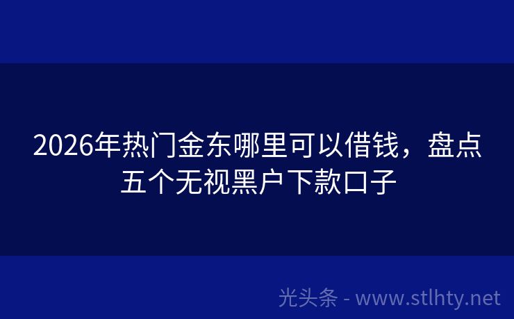 2026年热门金东哪里可以借钱，盘点五个无视黑户下款口子