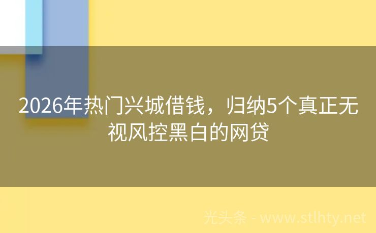 2026年热门兴城借钱，归纳5个真正无视风控黑白的网贷