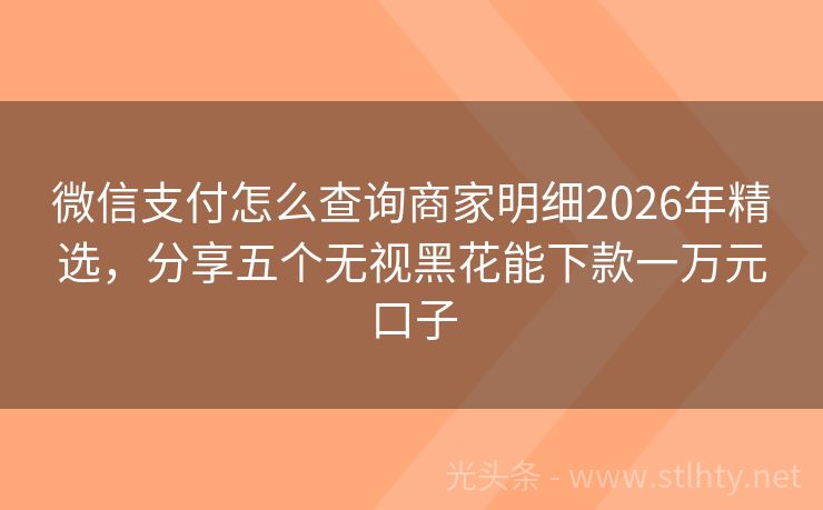 微信支付怎么查询商家明细2026年精选，分享五个无视黑花能下款一万元口子