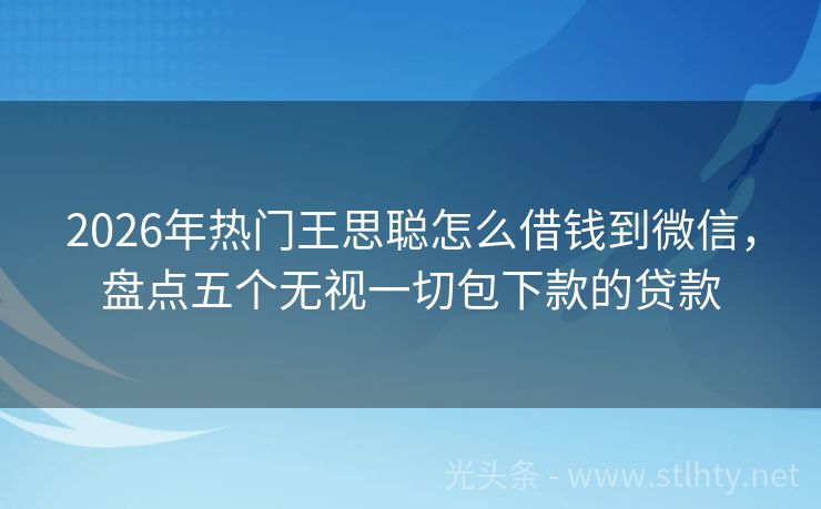 2026年热门王思聪怎么借钱到微信，盘点五个无视一切包下款的贷款