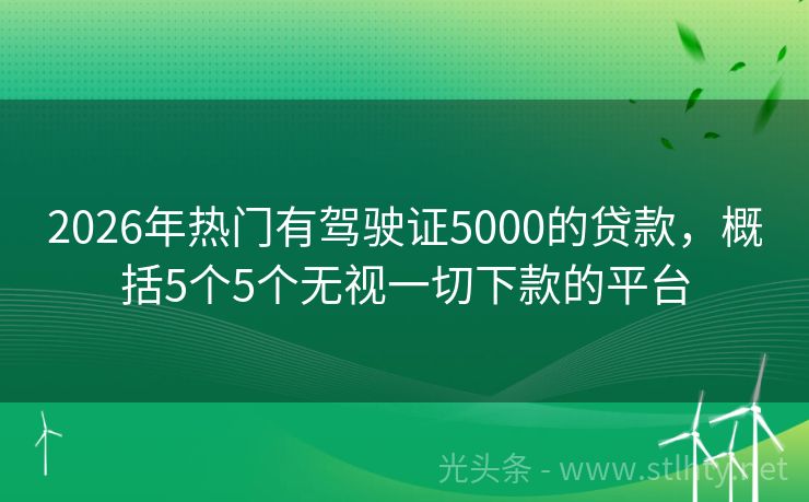 2026年热门有驾驶证5000的贷款，概括5个5个无视一切下款的平台