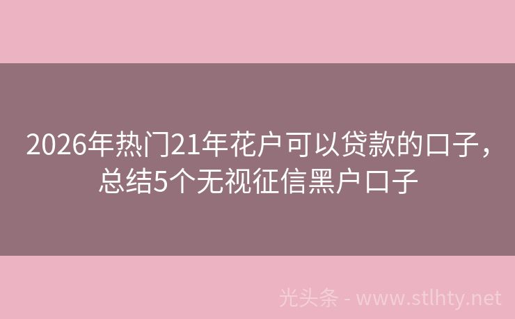 2026年热门21年花户可以贷款的口子，总结5个无视征信黑户口子