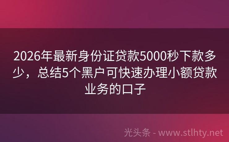 2026年最新身份证贷款5000秒下款多少，总结5个黑户可快速办理小额贷款业务的口子