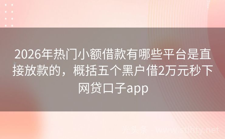 2026年热门小额借款有哪些平台是直接放款的，概括五个黑户借2万元秒下网贷口子app