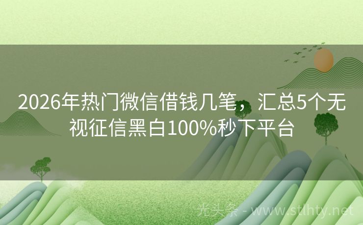 2026年热门微信借钱几笔，汇总5个无视征信黑白100%秒下平台