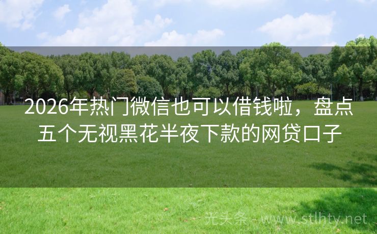 2026年热门微信也可以借钱啦，盘点五个无视黑花半夜下款的网贷口子