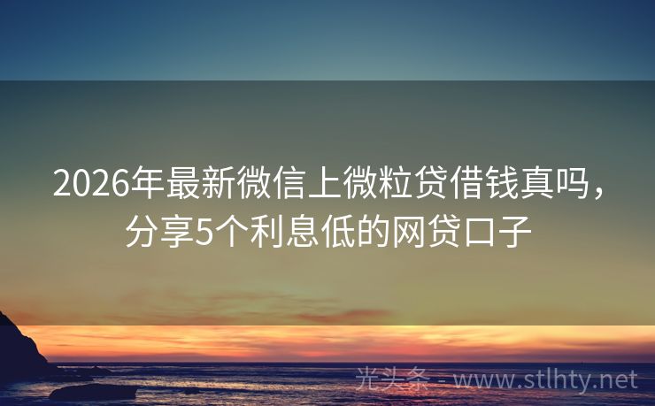 2026年最新微信上微粒贷借钱真吗，分享5个利息低的网贷口子