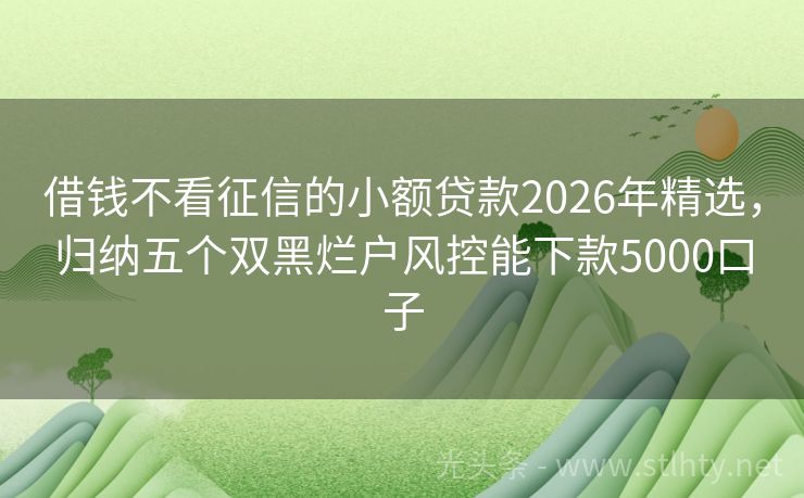 借钱不看征信的小额贷款2026年精选,归纳五个双黑烂户风控能下款5000口子