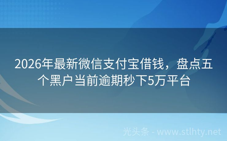 2026年最新微信支付宝借钱，盘点五个黑户当前逾期秒下5万平台