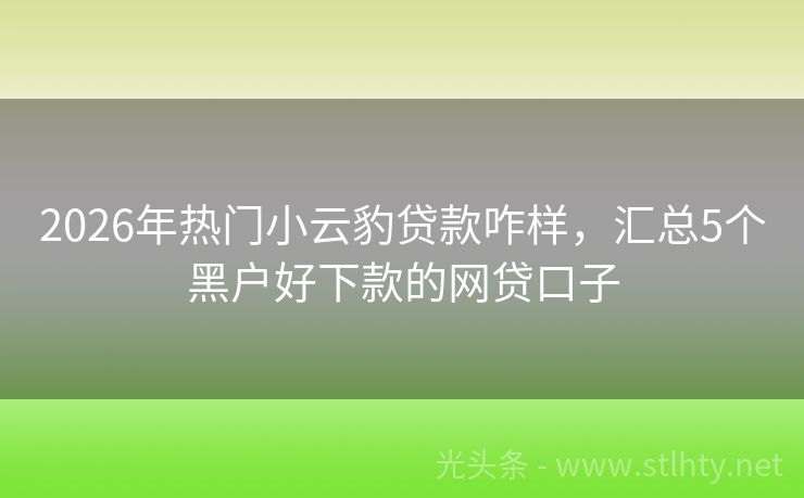 2026年热门小云豹贷款咋样，汇总5个黑户好下款的网贷口子