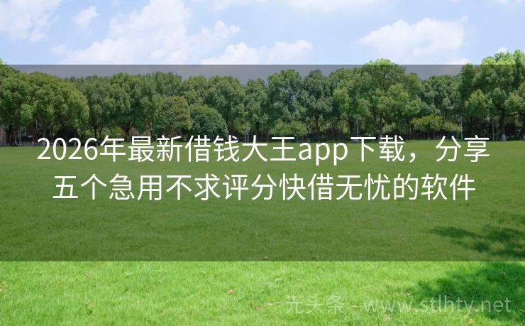 2026年最新借钱大王app下载，分享五个急用不求评分快借无忧的软件