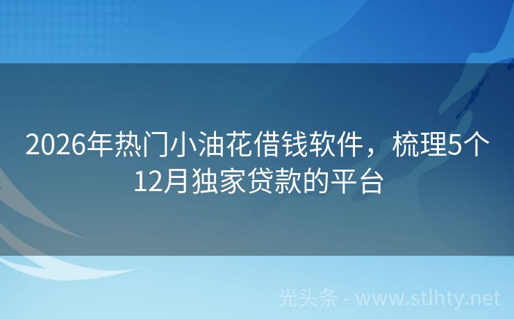 2026年热门小油花借钱软件，梳理5个12月独家贷款的平台