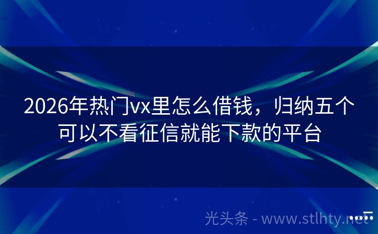 2026年热门vx里怎么借钱，归纳五个可以不看征信就能下款的平台
