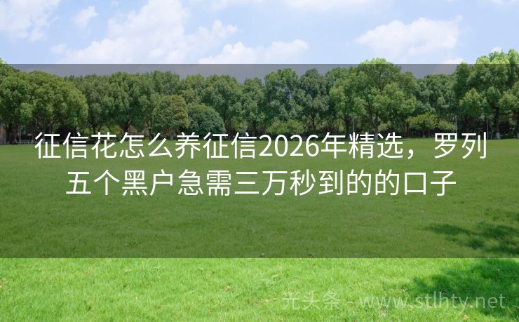 征信花怎么养征信2026年精选，罗列五个黑户急需三万秒到的的口子