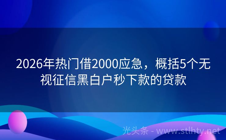 2026年热门借2000应急，概括5个无视征信黑白户秒下款的贷款