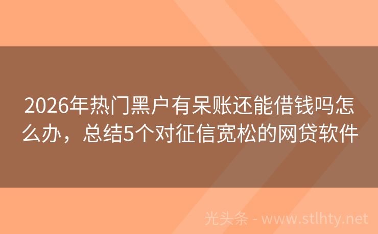 2026年热门黑户有呆账还能借钱吗怎么办,总结5个对征信宽松的网贷软件