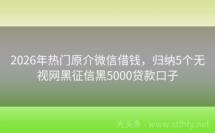2026年热门原介微信借钱，归纳5个无视网黑征信黑5000贷款口子