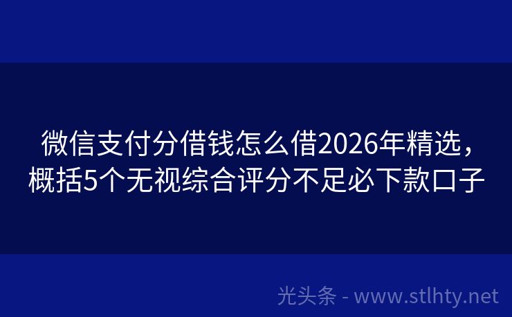 微信支付分借钱怎么借2026年精选，概括5个无视综合评分不足必下款口子
