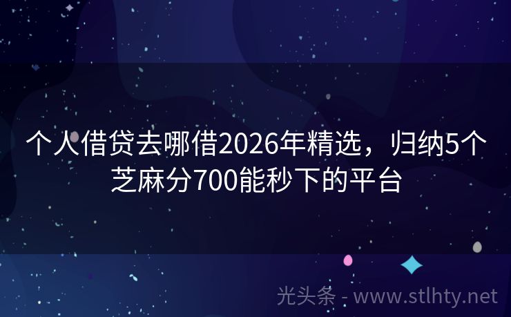 个人借贷去哪借2026年精选，归纳5个芝麻分700能秒下的平台