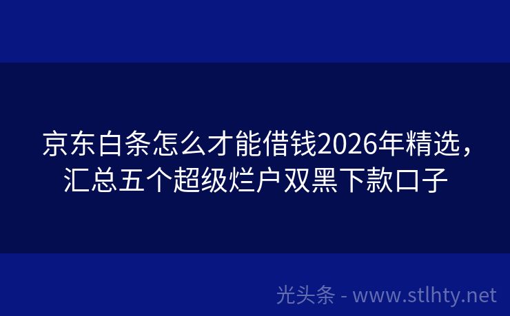 京东白条怎么才能借钱2026年精选，汇总五个超级烂户双黑下款口子