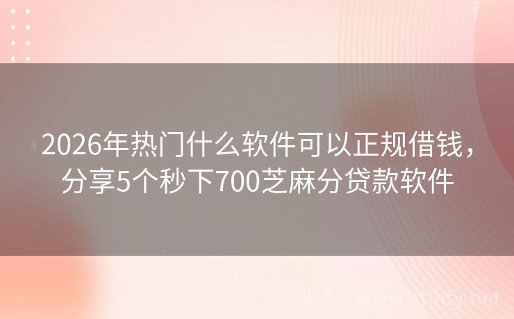 2026年热门什么软件可以正规借钱，分享5个秒下700芝麻分贷款软件