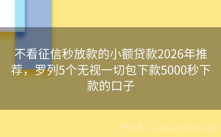 不看征信秒放款的小额贷款2026年推荐，罗列5个无视一切包下款5000秒下款的口子